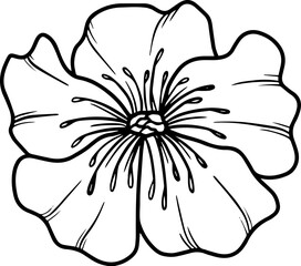 Hand Drawn Flower Sketch Line Art
