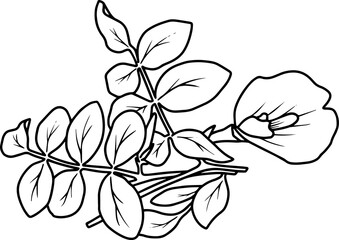 Hand Drawn Flower Sketch Line Art Illustration

