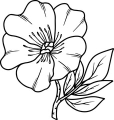 Line Art Wild Flower Illustration
