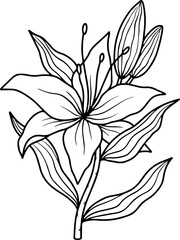 Fototapeta premium Line Art Wild Flower Illustration 