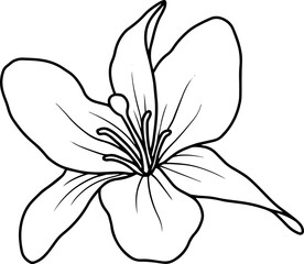 Hand Drawn Flower Sketch Line Art Illustration
