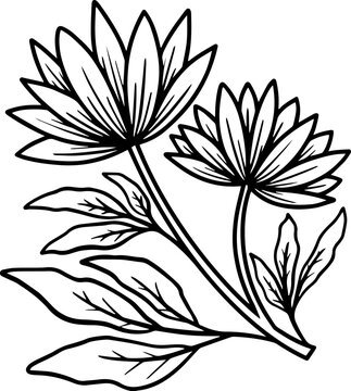 Hand Drawn Flower Sketch Line Art
