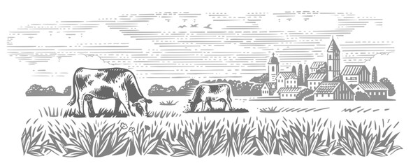 Cows on village meadow vector. Hand drawn sketch livestock with mountain