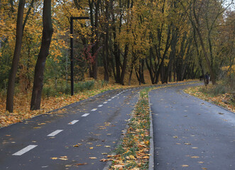 Road with white markings. Path. Road in autumn foliage.