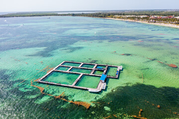 Ocean Adventures Park located in azure water - tow view - life animals to entertain tourists during vacation - aerial view 