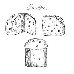 Panettone set vector illustration, hand drawing sketch
