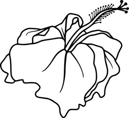 Flower Element Line Art
