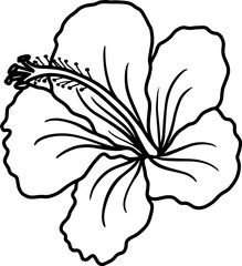 Hibiscus Flower Sketch Line Art
