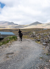 Fototapeta premium a rider on a brown horse gallops against the backdrop of mountains and an alpine lake in Armenia