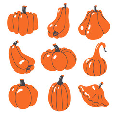 Pumpkins, squashes, gourds. Vector hand drawn set.