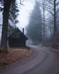 Einsame Hütte im nebligen Wald