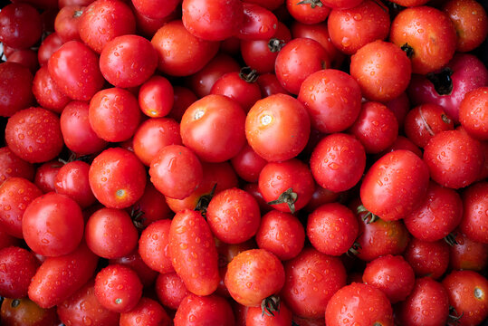 Horizontal photo of tomatoes basket, red ripe vegetable. Gardening consept, harvest time