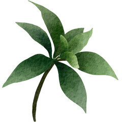 green leaves isolated on white background