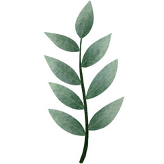 Fototapeta na wymiar green leaves isolated on white