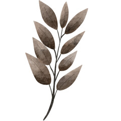 Obraz premium leaves isolated on white background