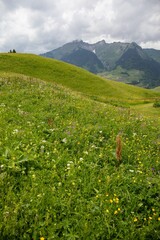 Vertical view of the green grass slopes in the valley under the cloudy sky