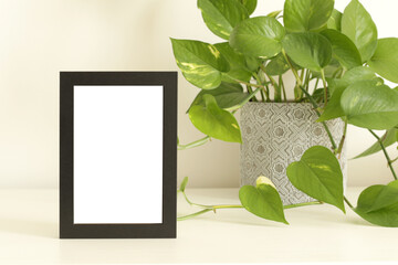 green plant in pot and empty old black wooden frame
