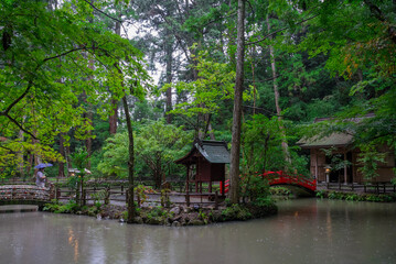 Obraz premium japanese garden