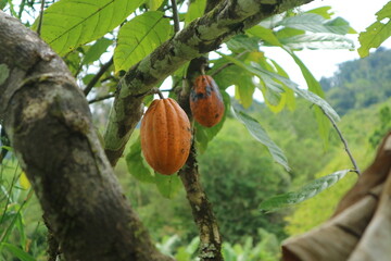 A wise and pleasant village atmosphere when visited