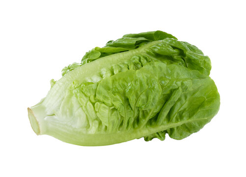 Baby cos isolated on transparent png