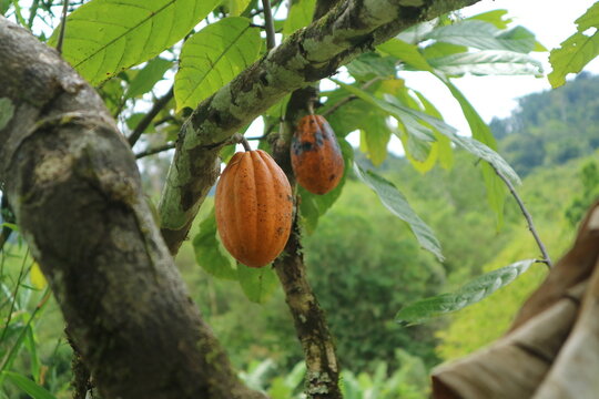 A wise and pleasant village atmosphere when visited