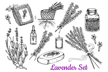Lavender set. Black and white sketch. Hand drawn set.Isolated  white background. Template for design of Spa, Wellness.Stock vector illustration.Packaging and labels for household goods, spa, medical 
