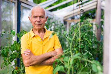 Obraz premium Caucasian man working in greenhouse