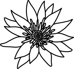 Lotus Flower Sketch Line Art

