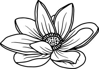 Line Art Lotus Flower Illustration
