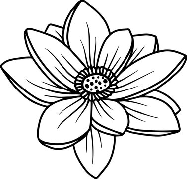 Lotus Flower Sketch Line Art

