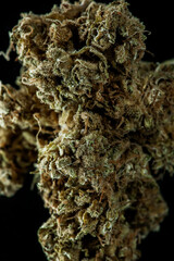 Cannabis Flower Macro on black background