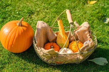 Closeup shot of a basket on the grass filled with artificial pumpkins