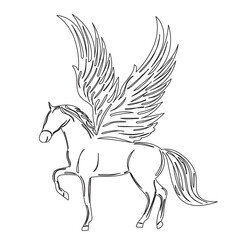 winged pegasus sketch on white background isolated