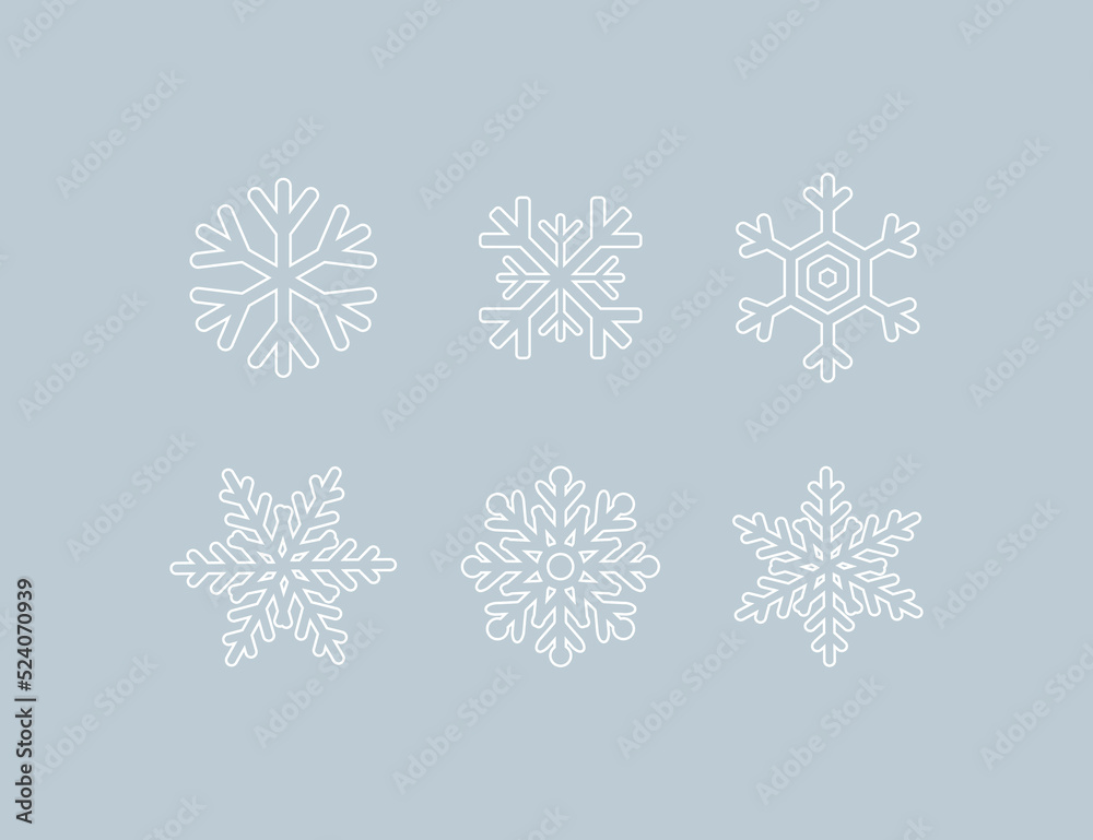 Canvas Prints snowflakes vector icons. white snowflake collection, isolated. six different snowflakes in modern li