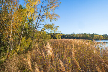 Autumn colors in the landscape by a lake