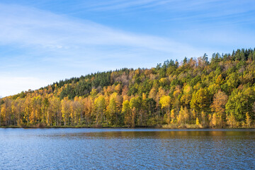 Autumn colored forest by a lake