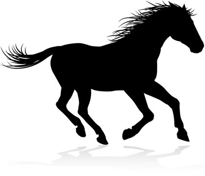Horse Animal Silhouette