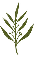 Aesthetic flower plant leaves