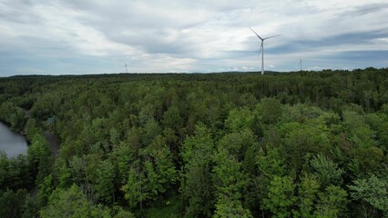 Aerial drone shot of a wind farm in the forest