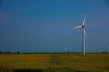 Windmill, Indiana Corn Field