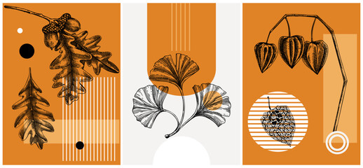 Collage style autumn vector illustration. Sketched leaves and dried flowers. Trendy fall design with botanical, geometric shapes, and abstract elements. For print, poster, card, social media