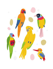 Vector set of cute colorful birds on white background. Tropical birds