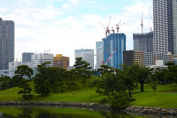 Obraz premium 日本庭園