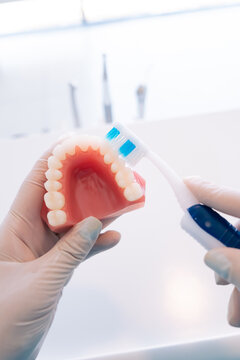 Anonymous female orthodontist brushing denture in clinic
