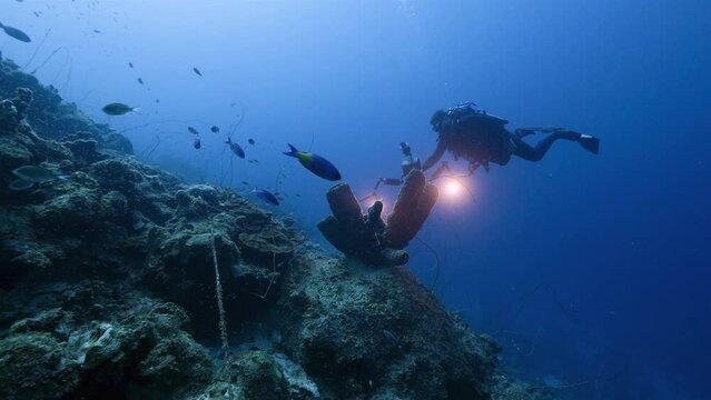 Professional diver, undersea cinematographer filming in coral reef of Caribbean Sea around Curacao