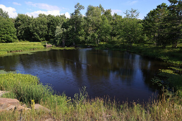 Fototapeta na wymiar View of one of the lakes in the Muskoka area, Ontario