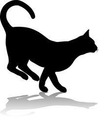Silhouette Cat Pet Animal