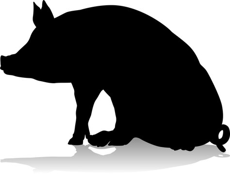 recommend clip art: Pig Silhouette Farm Animal