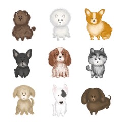A set of illustrations of different types of puppies on a white background. Hand drawn illustration.