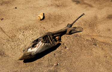 changing the element